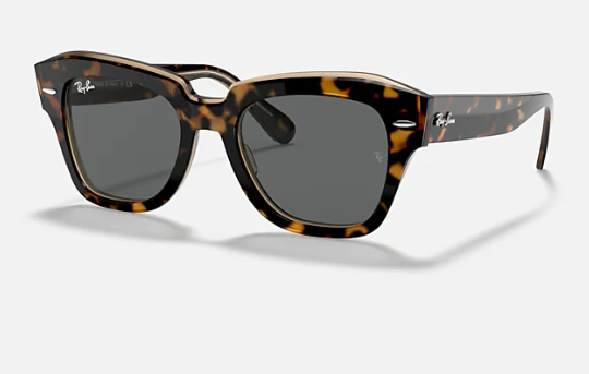 Ray-Ban Sunglasses | State Street