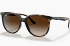 Ray-Ban Sunglasses | 0RB4378