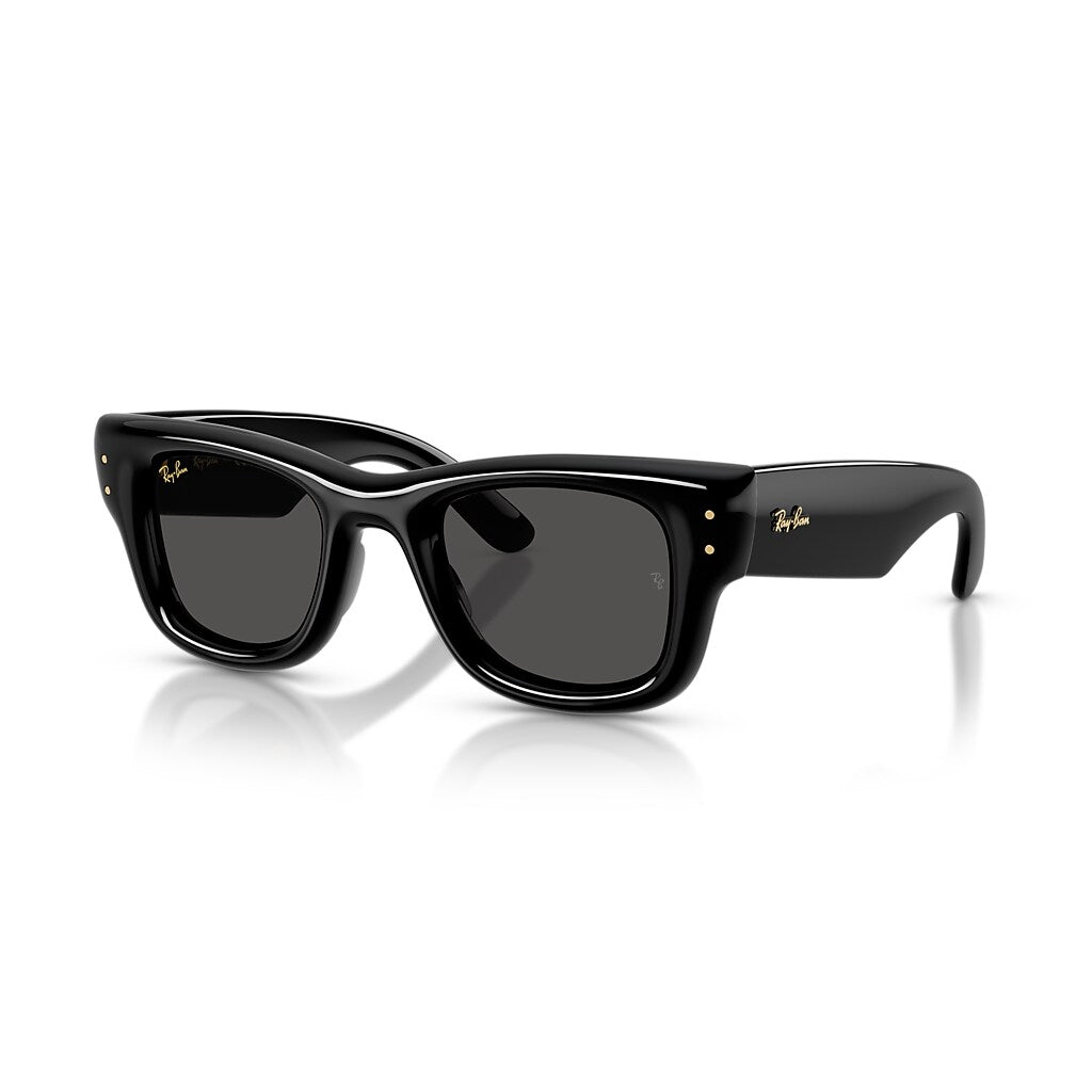 Ray-Ban Sunglasses | Wayfarer Puffer Black