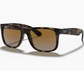 Ray-Ban Sunglasses | Justin